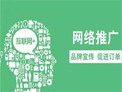 长沙主营网站建设，代运营，网络推广